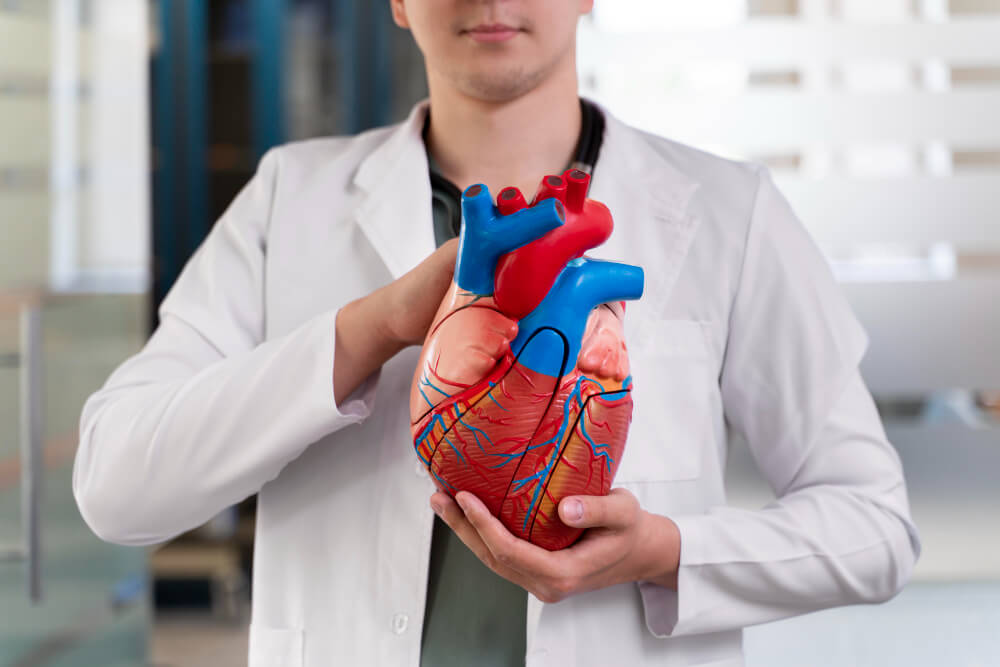 Como funciona a consulta com um cirurgião vascular no IACV: passo a passo até o diagnóstico