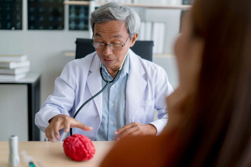 Médico aponta para um modelo anatômico de cérebro sobre a mesa durante consulta com paciente